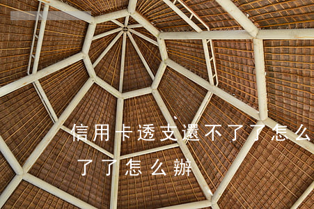 信用卡透支還不了了怎么辦(信用卡透支還不了了怎么辦)