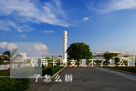 信用卡透支還不了怎么辦(信用卡不小心透支了怎么辦)