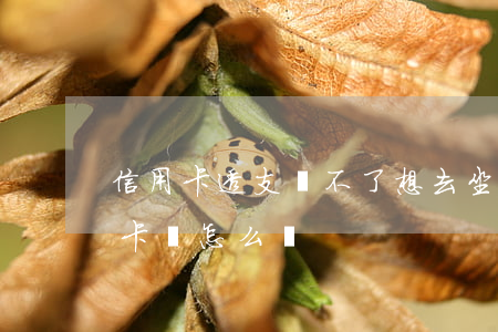 信用卡透支還不了想去坐牢(坐牢還不了信用卡會怎么樣)
