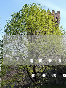 信用卡透支還不了會(huì)成老賴嗎(信用卡透支還不起會(huì)坐牢嗎)