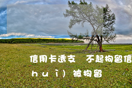信用卡透支還不起拘留(信用卡無力償還會(huì)被拘留嗎)