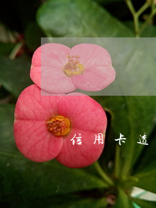 信用卡透支還,信用卡透支還不上有什么后果 信用卡透支還,信用卡透支還不上有什么后果