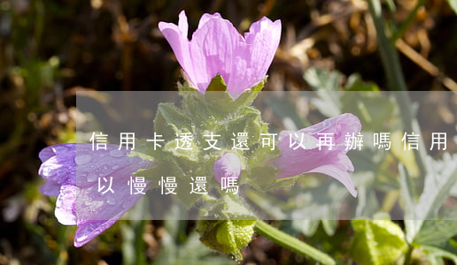 信用卡透支還可以再辦嗎(信用卡透支完了,可以慢慢還嗎?)