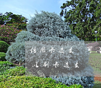 信用卡透支還可以花費嗎(所有的信用卡都可以刷卡透支嗎)