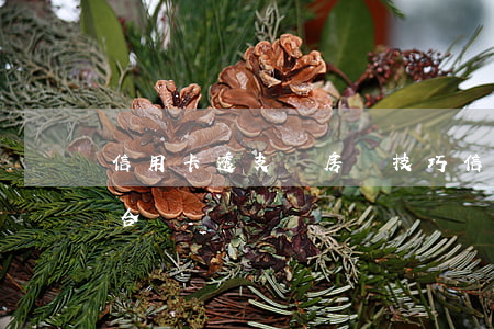 信用卡透支還房貸技巧(信用卡透支怎么還款合適)