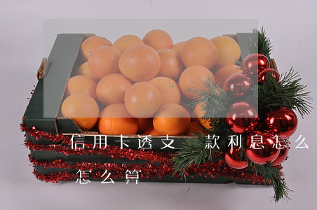 信用卡透支還款利息怎么算(銀行卡還款利息怎么算)