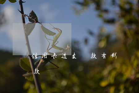 信用卡透支還款有影響嗎(信用卡透支還能貸款嗎)