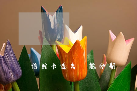 信用卡透支還能分期嗎