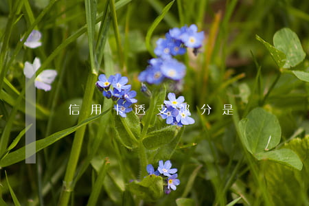 信用卡透支部分是貨幣嗎(信用卡透支部分是貨幣嗎)