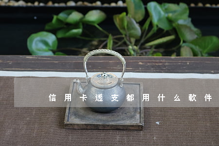 信用卡透支都用什么軟件(信用卡怎樣透支)