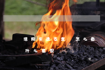 信用卡透支金額怎么查詢(信用卡透支金額是什么意思)