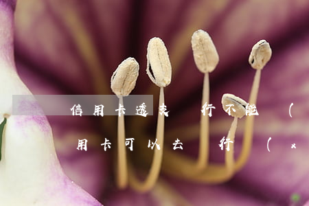 信用卡透支銀行不能協(xié)商嗎(欠信用卡可以去銀行協(xié)商還錢嗎?)