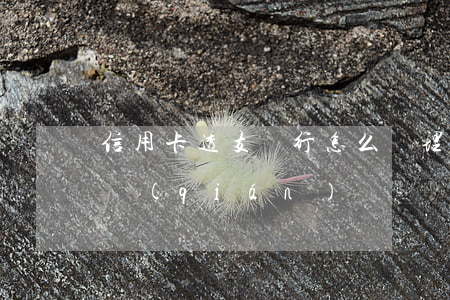 信用卡透支銀行怎么處理(怎樣透支信用卡的錢(qián))