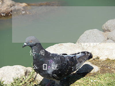 信用卡透支銀行怎么辦理(信用卡透支銀行怎么辦理)