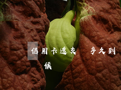 信用卡透支錢多久到賬(信用卡透支的錢什么時候還)