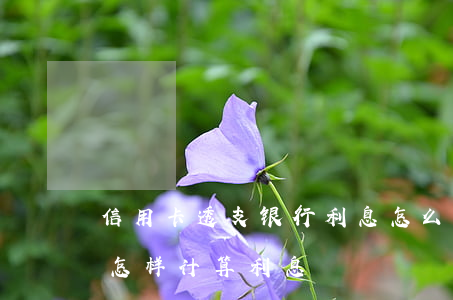 信用卡透支银行利息怎么算(透支卡透支现金怎样计算利息)