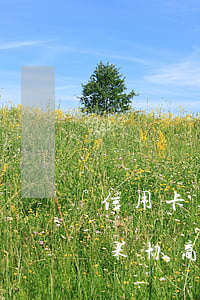 信用卡透支 银行协商(欠信用卡去银行协商如果协商不下来会扣人吗)