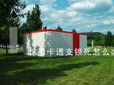 信用卡透支锁死怎么办(信用卡怎么就锁卡了)
