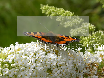 信用卡透支非法占有的情形(行用卡惡意透支罪)