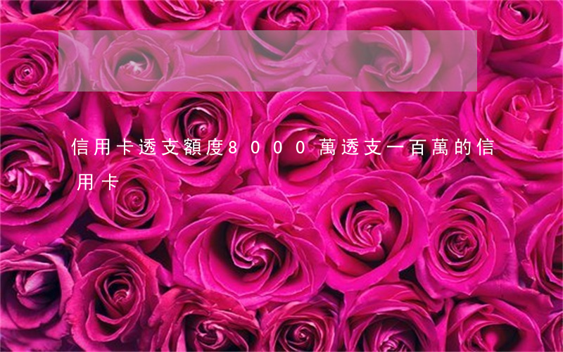 信用卡透支額度8000萬(透支一百萬的信用卡)