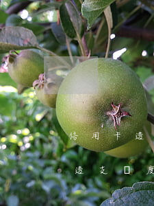 信用卡透支額度了怎么辦(為什么信用卡可以透支額度)