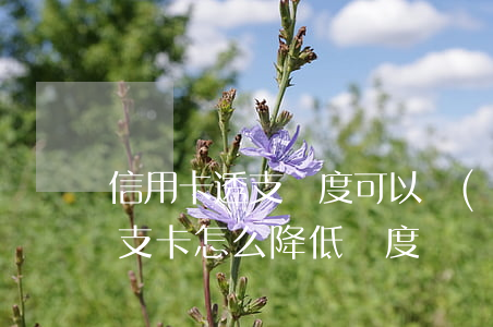 信用卡透支額度可以調(diào)整嗎(透支卡怎么降低額度)