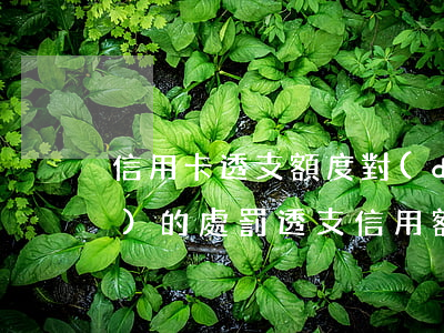 信用卡透支額度對(duì)應(yīng)的處罰(透支信用額度是什么意思)