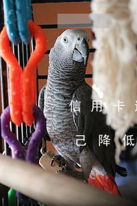 信用卡透支額度能恢復(fù)嗎(信用卡自己降低額度還能恢復(fù)嗎)