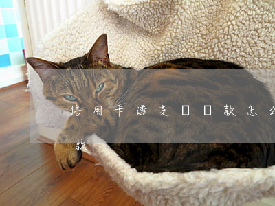 信用卡透支額還款怎么算(信用卡透支怎樣還款)