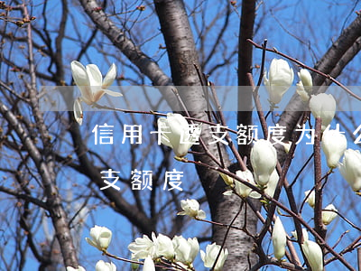 信用卡透支额度为什么额度(什么是信用卡透支额度)
