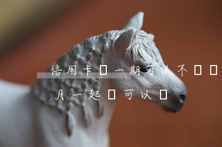 信用卡這一期可以不還嗎(信用卡這月沒還,下月一起還可以嗎)