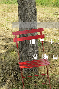 信用卡這個(gè)月還不上怎么辦-停息掛賬自己怎么去申請(qǐng)
