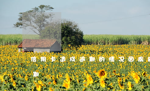 信用卡造成逾期的情况(因疾病导致信用卡逾期)