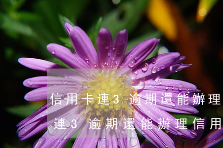 信用卡連3逾期還能辦理信用卡嗎-信用卡連3逾期還能辦理信用卡嗎
