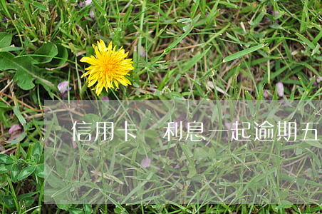 信用卡連利息一起逾期五千