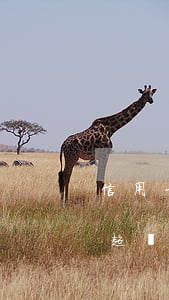 信用卡連本帶息逾期五萬多(欠信用卡本金不超過五萬)