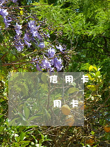 信用卡連續(xù)4個月有90天逾期(信用卡連續(xù)4個月有90天逾期)