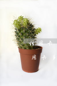 信用卡連續(xù)4次小額逾期(同一張信用卡多次逾期,有些已超過(guò)5年)