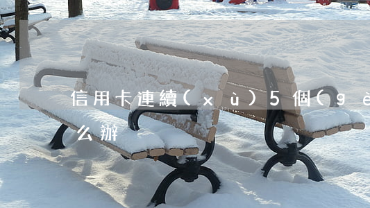 信用卡連續(xù)5個(gè)月逾期怎么辦