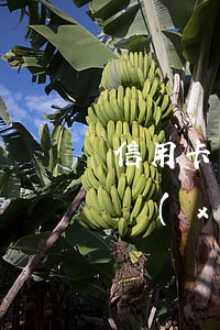 信用卡連續(xù)三個月逾期6(信用卡連續(xù)三個月逾期,但都不超過一個月)