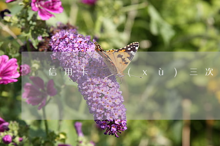 信用卡連續(xù)三次逾期幾天還款