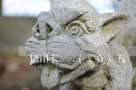 信用卡連續(xù)五個(gè)月逾期
