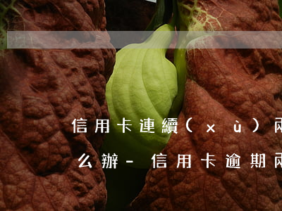 信用卡連續(xù)兩個(gè)月逾期怎么辦-信用卡 逾期 兩天