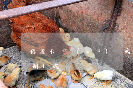 信用卡連續(xù)兩次逾期一天(信用卡逾期1次)