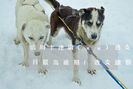 信用卡連續(xù)透支算逾期嗎(信用卡單月最高逾期/透支總額)