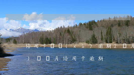 信用卡連續(xù)逾期2個月(連續(xù)兩個月信用卡逾期)