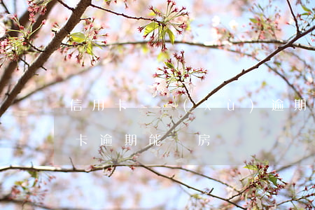 信用卡連續(xù)逾期3次房貸 3次信用卡逾期能辦房貸