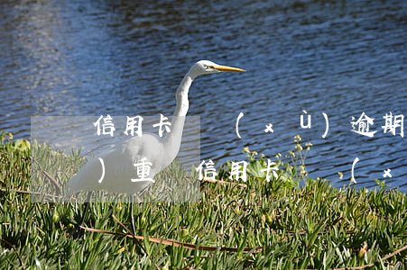 信用卡連續(xù)逾期七個月嚴(yán)重嗎(信用卡連續(xù)逾期七個月嚴(yán)重嗎)