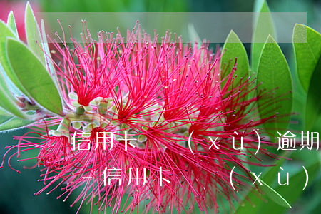 信用卡連續(xù)逾期三個月算幾次逾期-信用卡連續(xù)逾期三個月算幾次逾期嗎