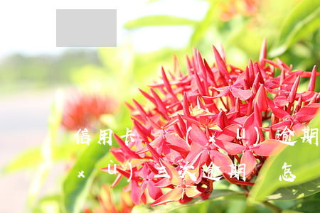信用卡連續(xù)逾期三次怎么辦(連續(xù)三次逾期會怎樣)